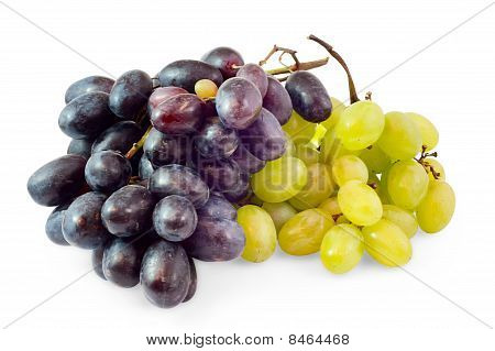 흑인과 백인 포도의 송이