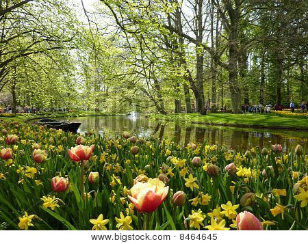Tulipán, a csatorna
