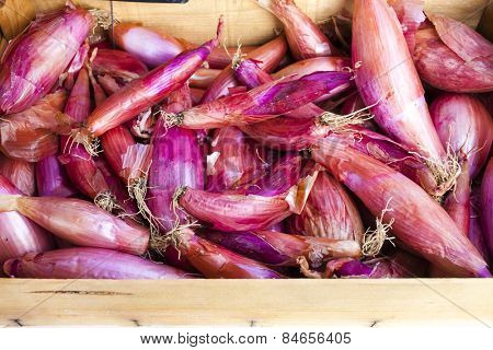 shallots, market in Forcalquier, Provence, France