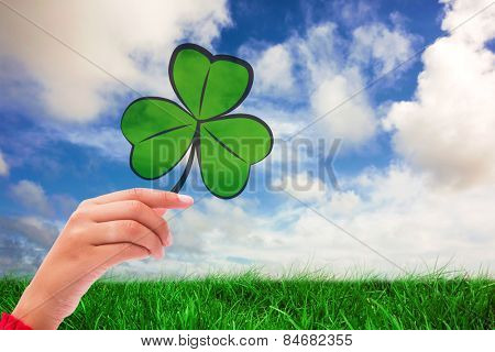 Shamrock against green grass under blue sky