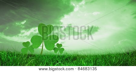 Grass against orange and blue sky with clouds