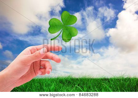Shamrock against green grass under blue sky