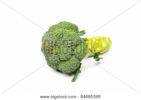 Brocoli On A White Background