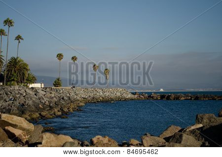View of a breakwater with piled rocks and palm trees in Ensenada, Baja California, Mexico