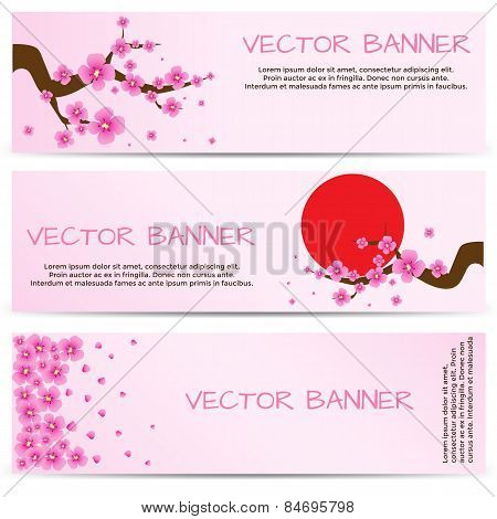 Spring Banner with Blooming Sakura