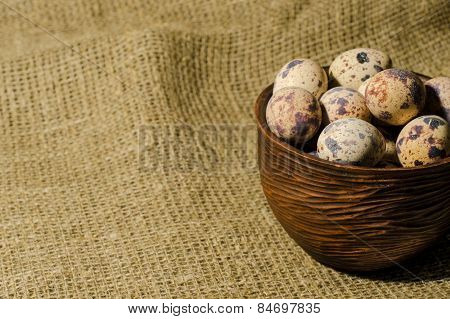 eggs of quail