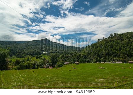 Terrace rice fields in Mae Chaem District Chiang Mai, Thailand