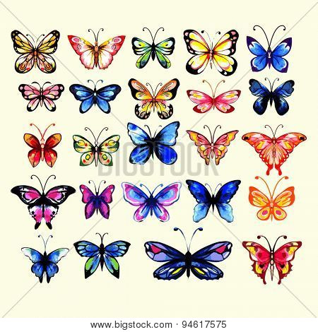 Watercolor butterflies set. Handdrawn. Isolated.  Cold and warm colors.