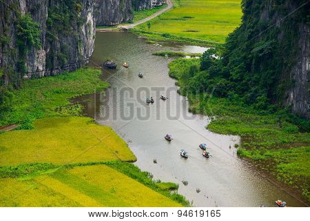 Rice field and river in TamCoc, NinhBinh, Vietnam