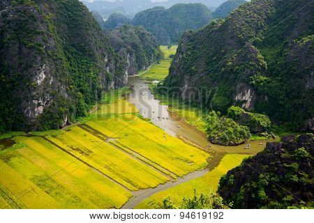 Rice field and river in TamCoc, NinhBinh, Vietnam