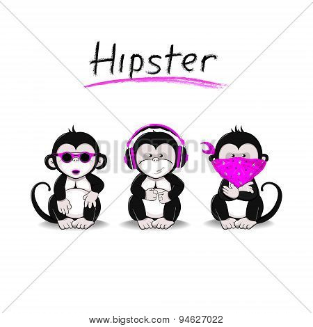 Hipster monkey