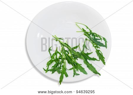 Arugula In Dish