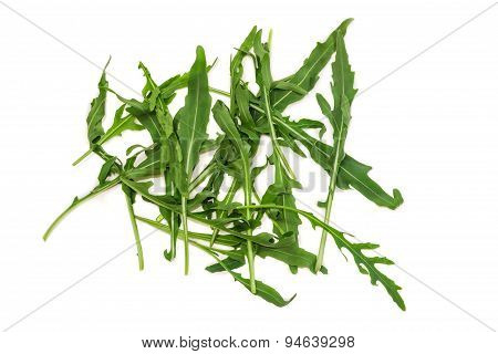 Arugula