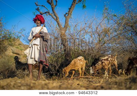 GODWAR REGION, INDIA - 13 FEBRUARY 2015: Rabari tribesman holds traditional axe on field and stands close to herd. Rabari or Rewari are an Indian community in the state of Gujarat.