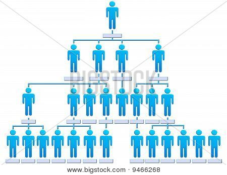 Gerarchia organigramma aziendale società persone