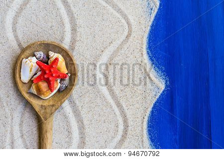 Shells Colored Spoon Beach Sand