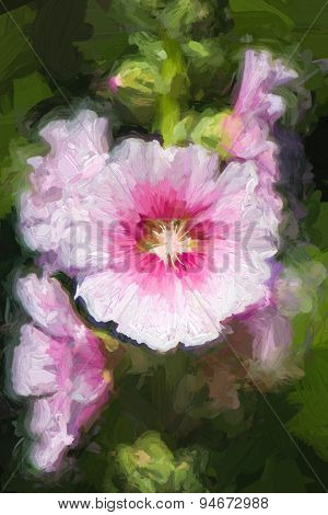 Hollyhock Flower