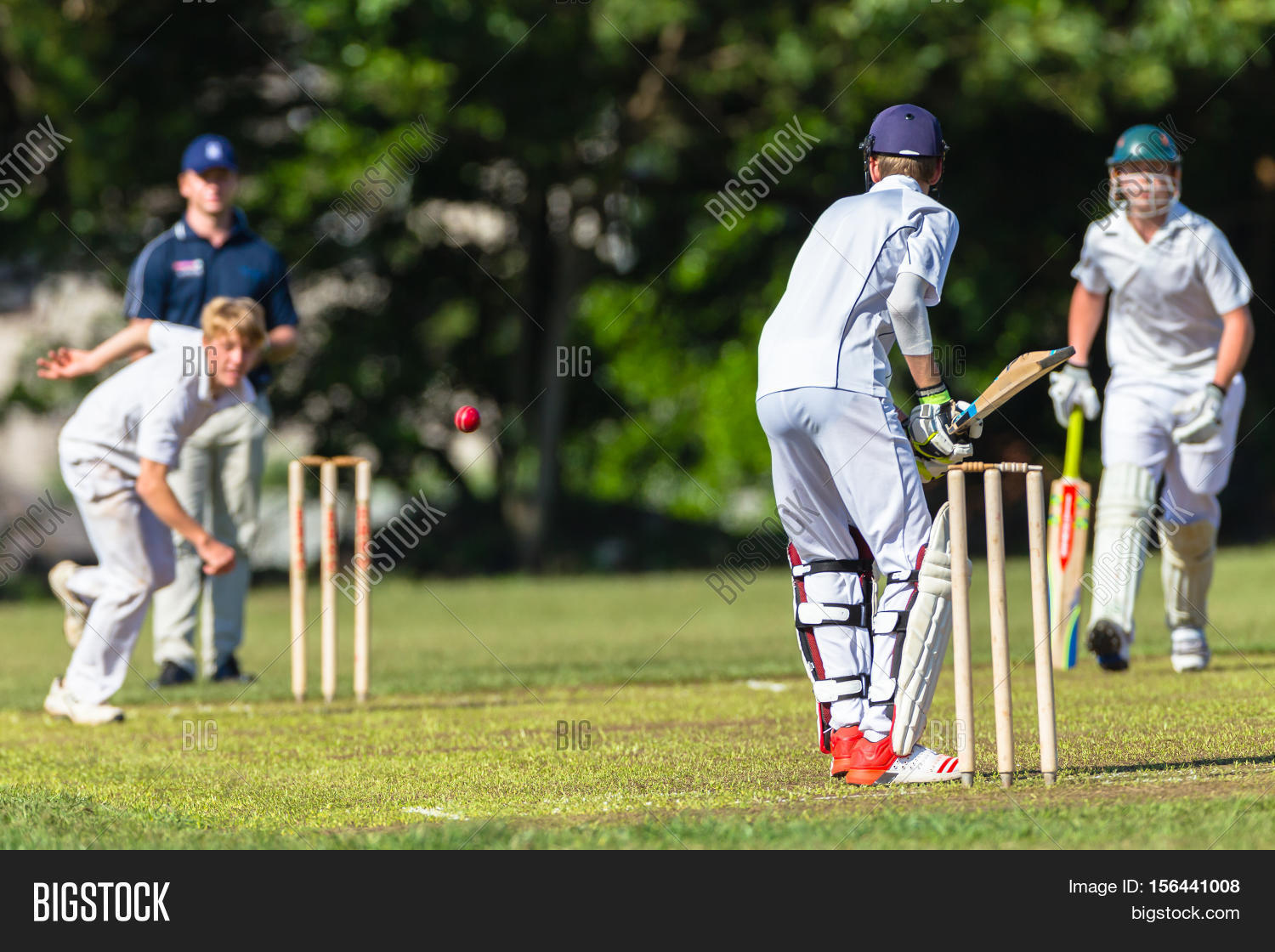 Cricket Action Schools Image & Photo (Free Trial) Bigstock