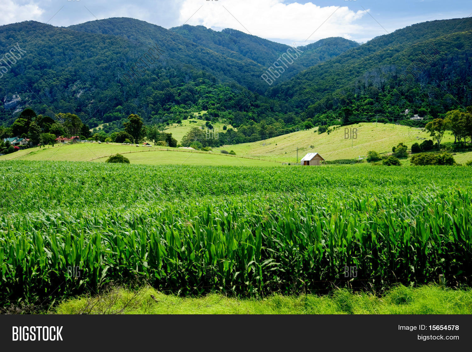 Rural Landscape NSW Image & Photo (Free Trial) | Bigstock