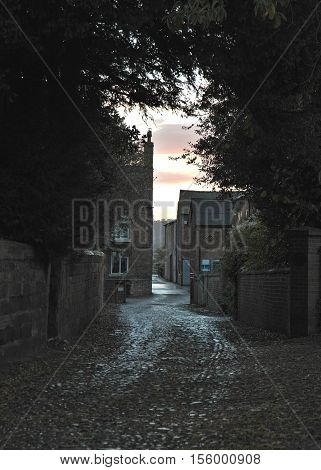 Dawn light through dark arched trees towards old farm buildings.