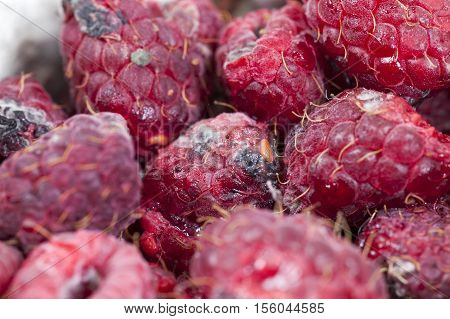 photographed ripe red raspberries, which appeared mold, a small depth of field