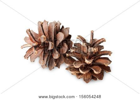 two brown pine cones on isolated white background