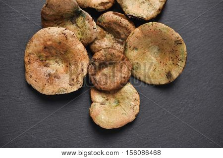 high-angle of some raw rovellons, typical autumn mushroom of Spain, on a rustic dark gray surface
