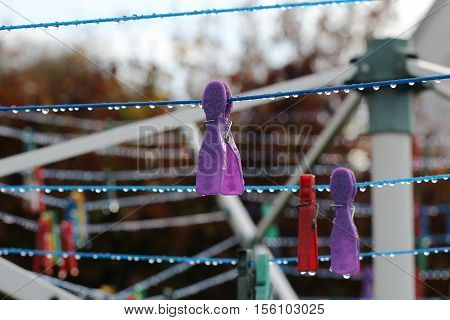 Close up of a colored clothespins on a clothesline