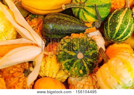 Cucurbits On Sale In A French Market