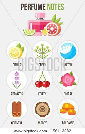 Vector illustrations of main perfume notes and ingredients. Infographics elements. Flat style.