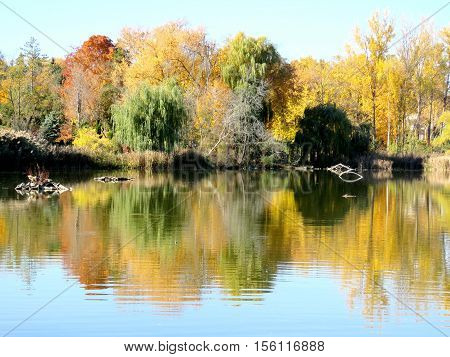 View of autumn pond in Thornhill Canada November 6 2016