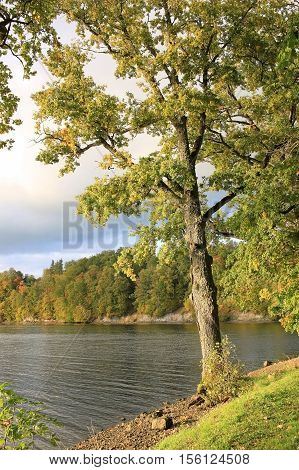Autumn trees on the river Perce in city Koknese in Latvia