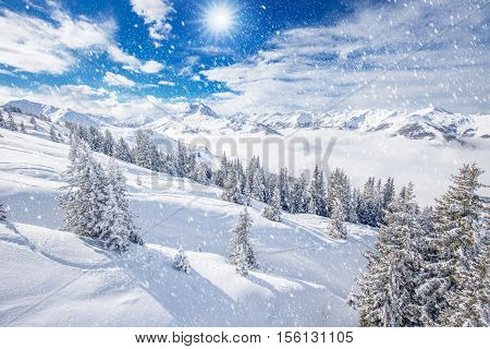 Trees covered by fresh snow in Kitzbuhel ski resort, Tyrolian Alps, Austria