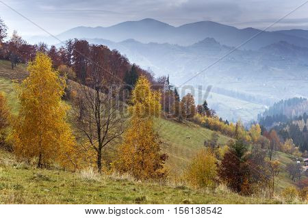 Idyllic autumn landscape from Transylvania, Romania. Perfect afternoon in Poiana Marului