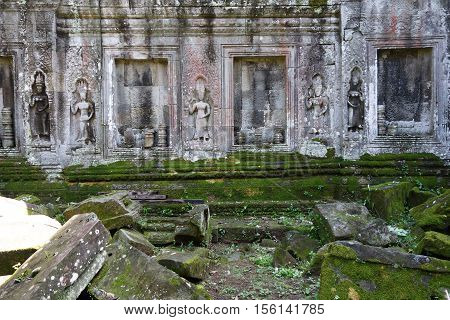 Ta Prohm Temple In Angkor Wat