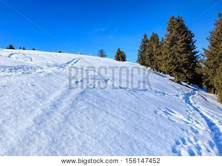 View on Mount Rigi in winter. Mount Rigi is a mountain massif of the Alps located in Central Switzerland.