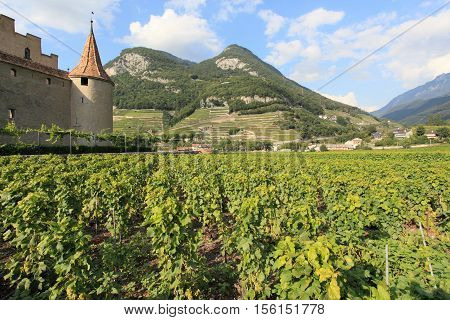 landscape near Aigle castle in spring, Switzerland
