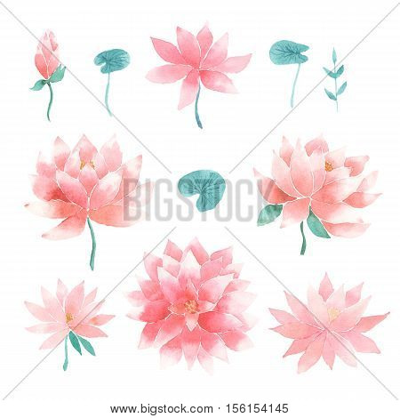 Watercolor floral set with pink lotus flowers branches and leaves isolated on a white background
