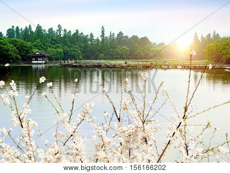 Hangzhou China Scenic view of Yudai Bridge On West Lake.