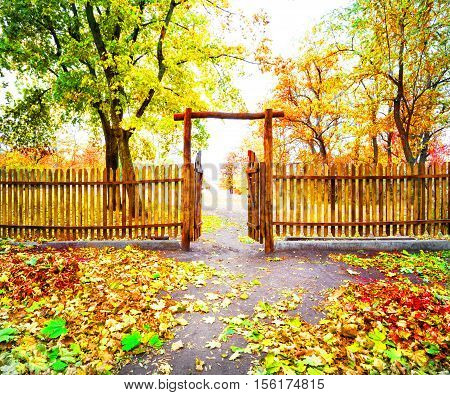 Door to wooden fence overlooking the park in autumn