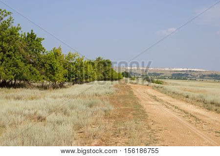 The road in the desert in the summer. Volgograd region Russia