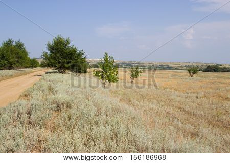 The road in the desert in the summer. Volgograd region Russia