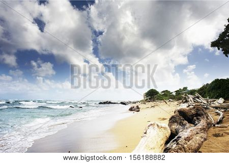 The beach view of a Pacific island.