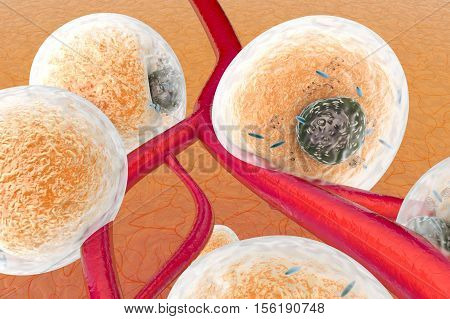 Fat cells in human tissue and between blood vessels and capillars. Scientific 3d rendered Illustration.