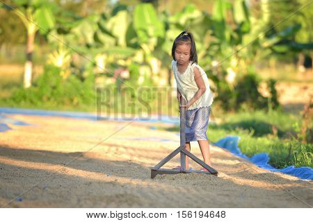 Children work to help their parents harvest.