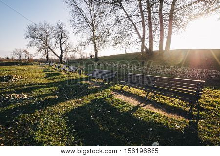 Wooden park bench in a sunny day.