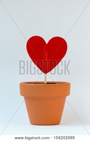 my love for you is growing against a white background