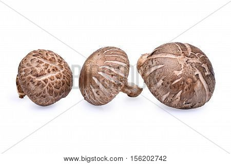 fresh shiitake mushrooms isolated on white background