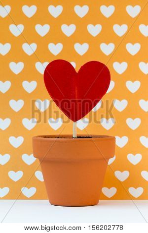 my love for you is growing against a yellow background
