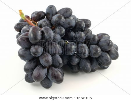 องุ่นสีน้ำเงินบนพื้นหลังสีขาว
